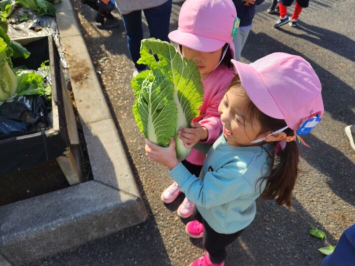 町田市にあるフェリシア幼稚園で野菜の収穫体験をする園児