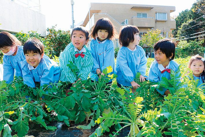 専有の田畑で子供たちが育てた野菜やお米は、園で調理していただきます〜奈良幼稚園（横浜市青葉区）