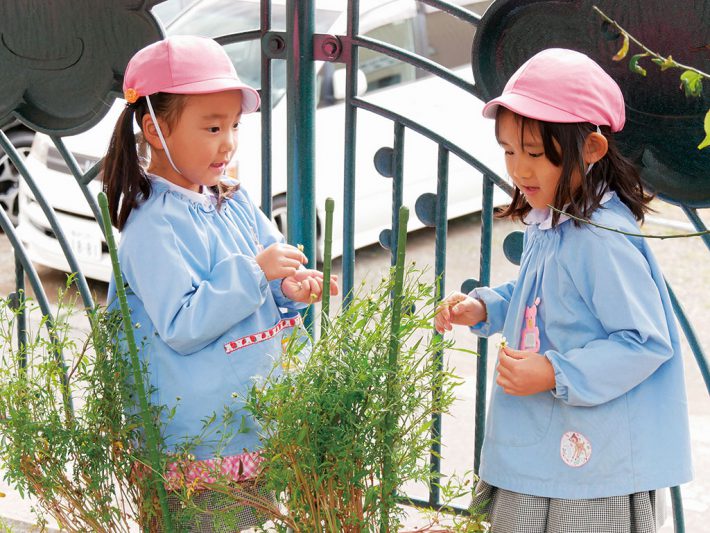 園庭にはクラスごとの花壇があり、子どもたちが毎朝水やりをします。命の大切さを知ることはもちろん、将来小学校で学ぶ生活科などへの興味のきっかけにもなります（学校法人 吉野学園 すぎの森幼稚園：都筑区）
