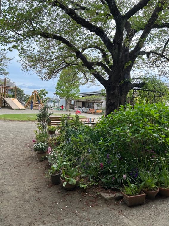 東洋英和女学院大学付属かえで幼稚園カンガルークラス