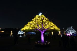 東京メガイルミ 光と遊ぶ大樹 大井競馬場 子どもとおでかけ 冬 ビタミンママ