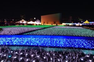 東京メガイルミ 日本原風景 大井競馬場 子どもとおでかけ 冬 ビタミンママ