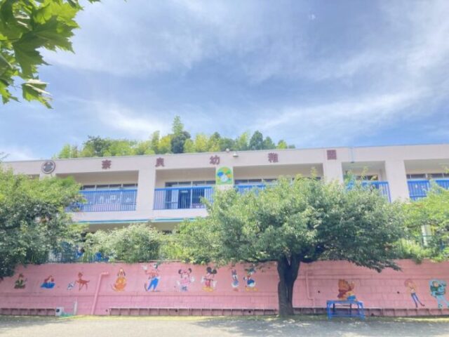 奈良幼稚園 夏期保育 プール 課外教室