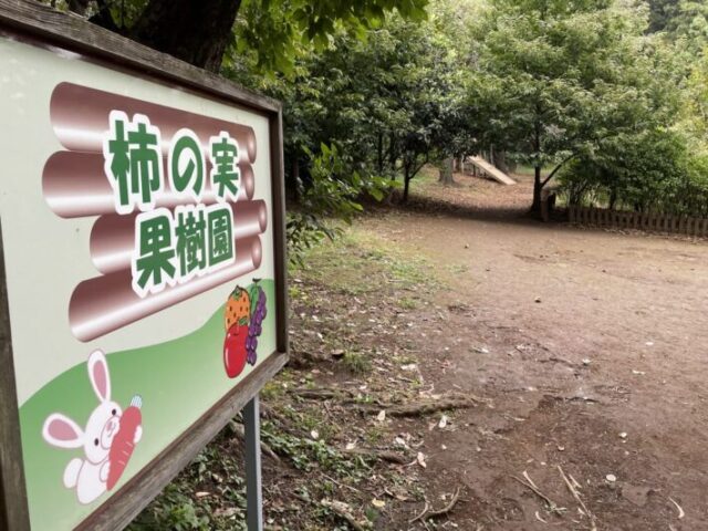 柿の実幼稚園 口コミ 日本一 広さ 裏山 柿の木 