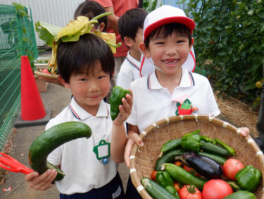 横浜市青葉区にある市ヶ尾幼稚園には、畑があり種まきから収穫まで体験できます