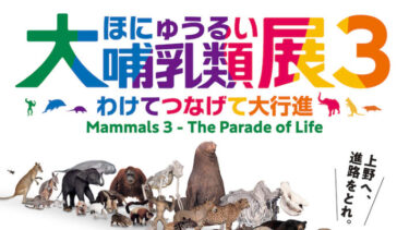 春休みにおすすめ！「大哺乳類展3－わけてつなげて大行進」国立科学博物館