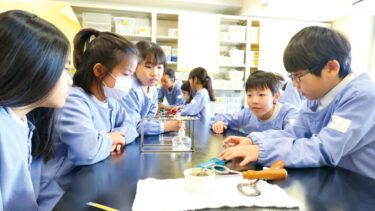 私立小学校が分かる！1日のタイムスケジュール（精華小学校）