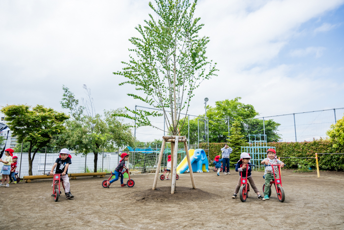 田園江田幼稚園の園庭