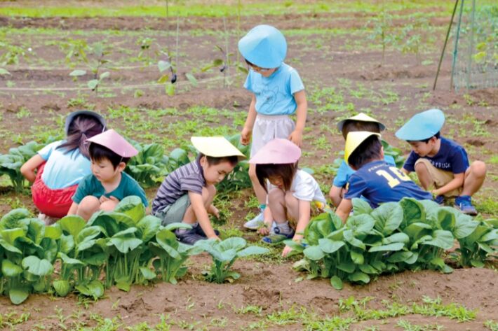 麻生区にある風の谷幼稚園の収穫体験の様子