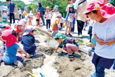 子ども主体の探究型保育を実践＜フェリシア幼稚園（東京都町田市）＞