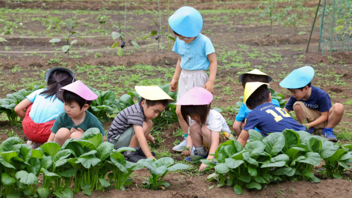 川崎市麻生区にある風の谷幼稚園。畑で作業する子どもたち。