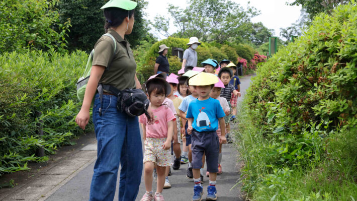 川崎市麻生区にある風の谷幼稚園。子どもたちが散策する様子。