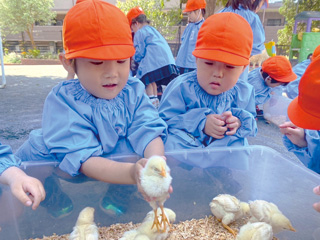 動物と触れ合う田園都市幼稚園の子どもたちの様子