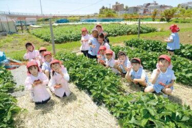 遊びを通し工夫や発見することで豊かな心を育てます＜もえぎ野幼稚園（横浜市青葉区）＞