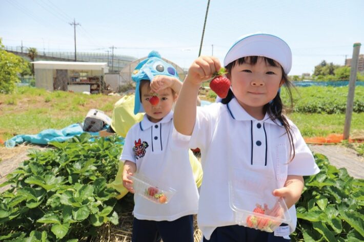 もえぎ野幼稚園満3歳児クラスの収穫体験の様子