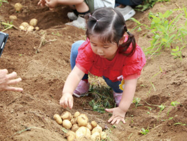 さまざまな体験が幼稚園生活の準備に＜すぎの森幼稚園（横浜市都筑区）＞