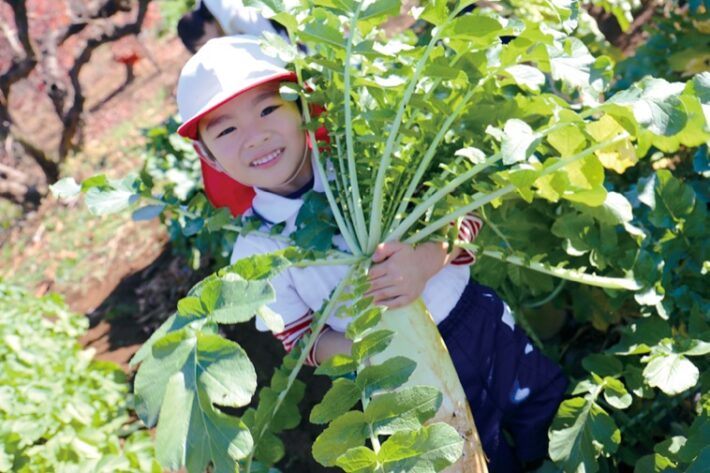 もえぎ野幼稚園の自然体験の様子