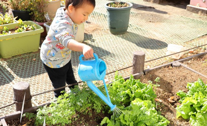 横浜市都筑区にあるすぎの森幼稚園。プレ保育の様子