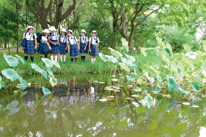 相模女子大学小学部のビオトープ
