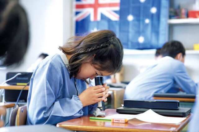顕微鏡を使ってサンゴをじっくりと観察。精華小学校の「英語でサイエンス」
