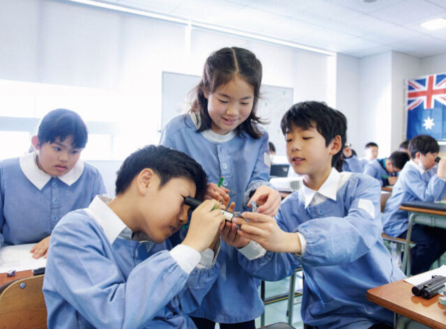 友だちと協力して観察を進めます。精華小学校の「英語でサイエンス」