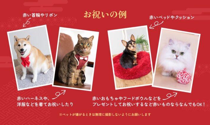 わん暦・にゃん暦 祝い