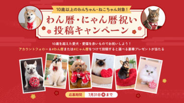 【6/4〜7/31】高齢のペット「わん暦・にゃん暦 祝い」投稿キャンペーン