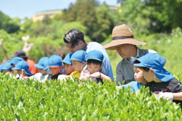 2025年園長先生のメッセージ＜玉川学園幼稚部（東京都町田市）＞