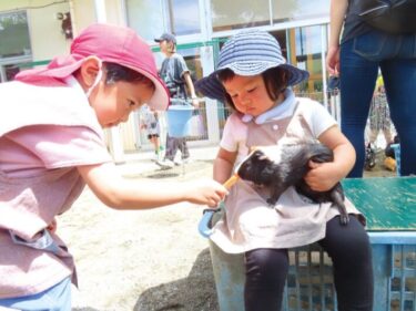 梅が丘天使幼稚園の未就園児クラスを見てみよう！