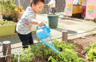 すぎの森幼稚園の未就園児クラスを見てみよう！