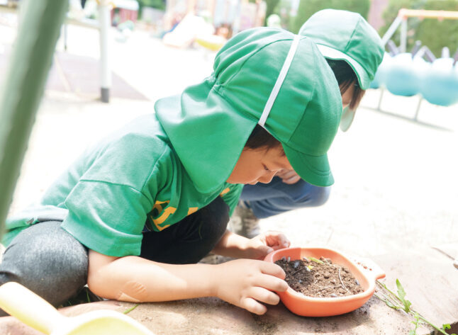 フェリシア幼稚園の園庭