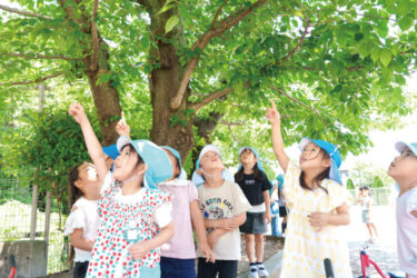 こども園 フェリシア幼稚園 フェリシアこども短期大学附属のおすすめポイント（東京都町田市）