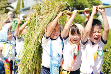 宮前幼稚園のおすすめポイント（川崎市宮前区）