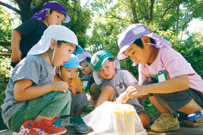 宮前幼稚園の園内で昆虫採集をする園児たち
