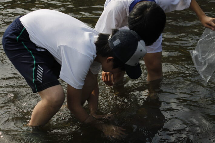 東京都市大学等々力中学校・高等学校　水辺の生き物観察会