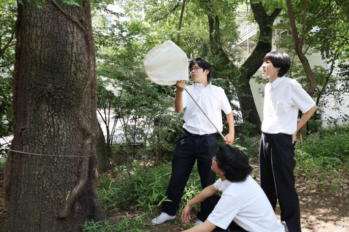 東京農業大学第一高等学校・中等部　校内の雑木林