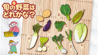 おいしいえほん冬の号p6‐7「旬の野菜はどれかな？」の答え