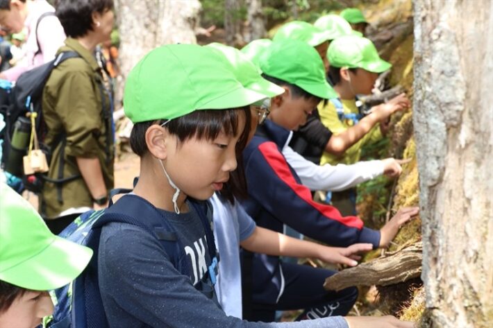 湘南学園小学校の山の学校