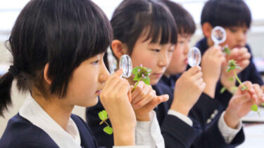 【2026菅生学園初等学校インタビュー】豊かな自然環境だからこそ可能な体験型の学びとは