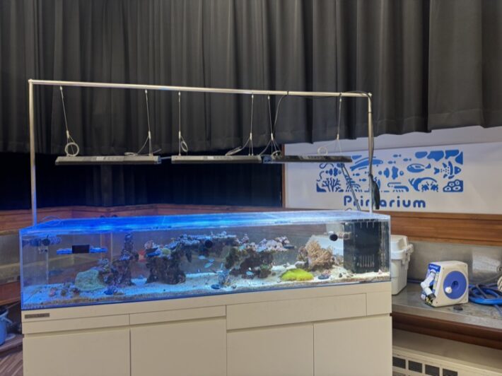 玉川学園小学部の理科室にある水槽