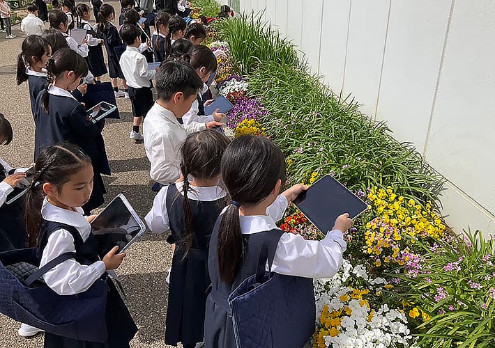 昭和女子大学附属昭和小学校の探究の時間
