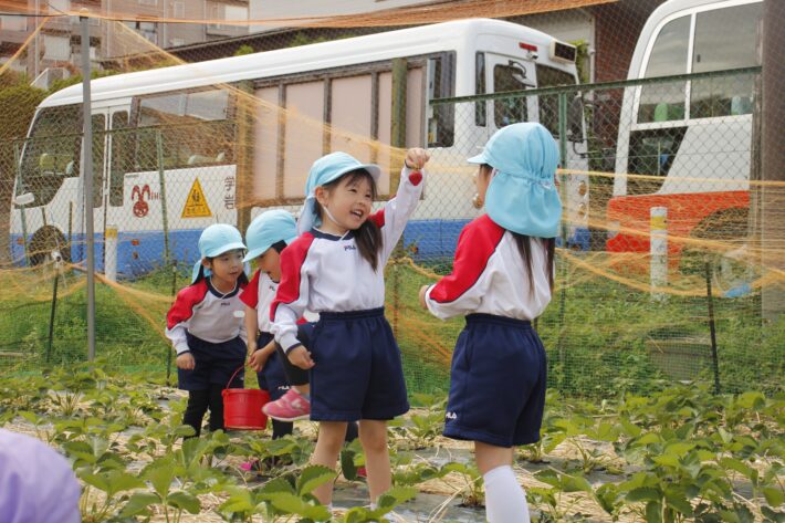 みほ幼稚園