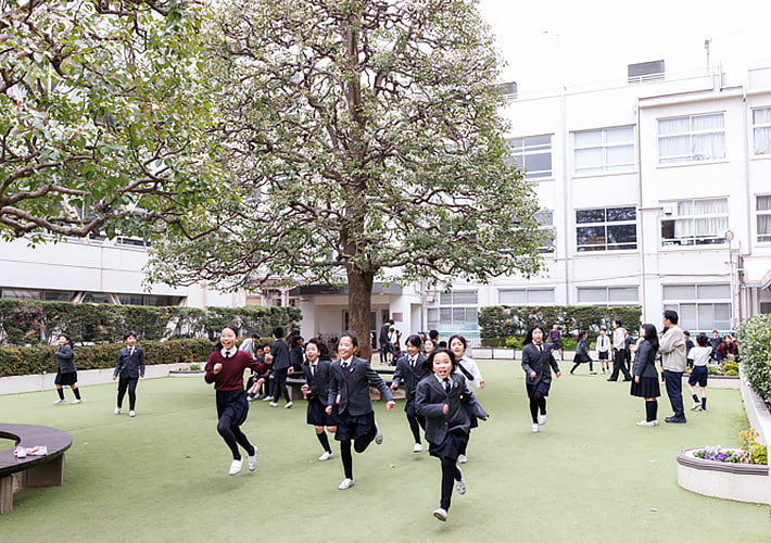 新渡戸文化小学校の外観