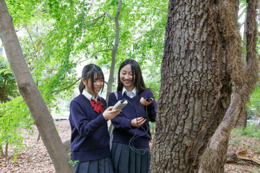 【2026特長ある学び】本物に触れる「知耕実学」。東京農業大学第一高等学校・中等部の「理科」