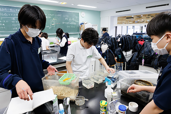 青稜中学校・高等学校