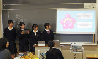 【2026特長ある学び】お菓子で街のファンをつくる！トキワ松学園中学校高等学校の実践的な商品開発