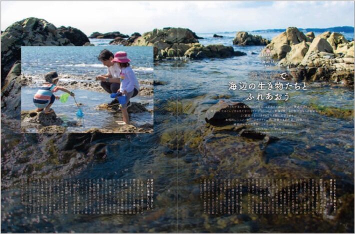 デキる子シリーズ 海遊びの本 ビタミンママ